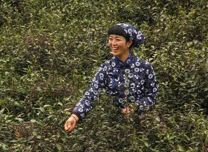 侦探俱乐部